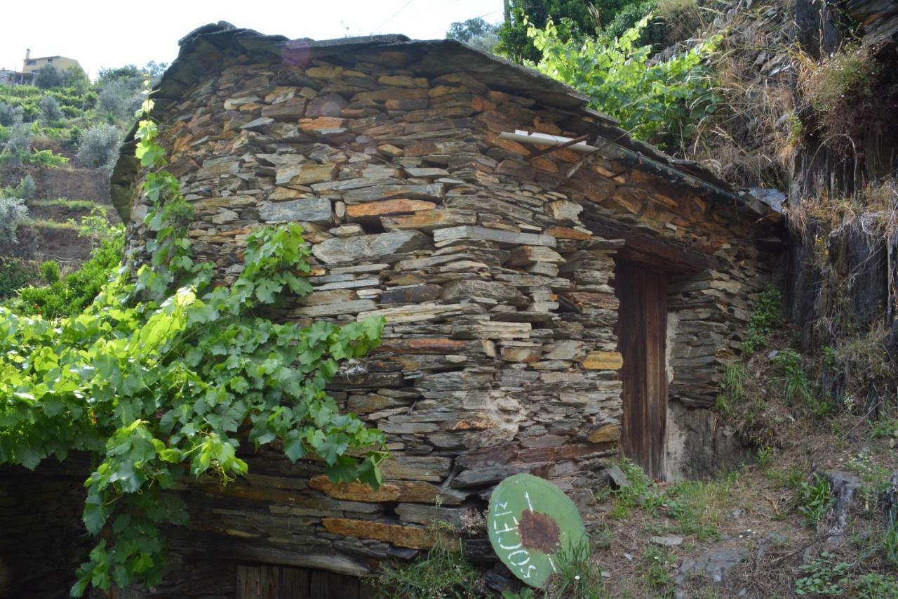 הוילה Casal do Rei  Casa Do Azereiro מראה חיצוני תמונה
